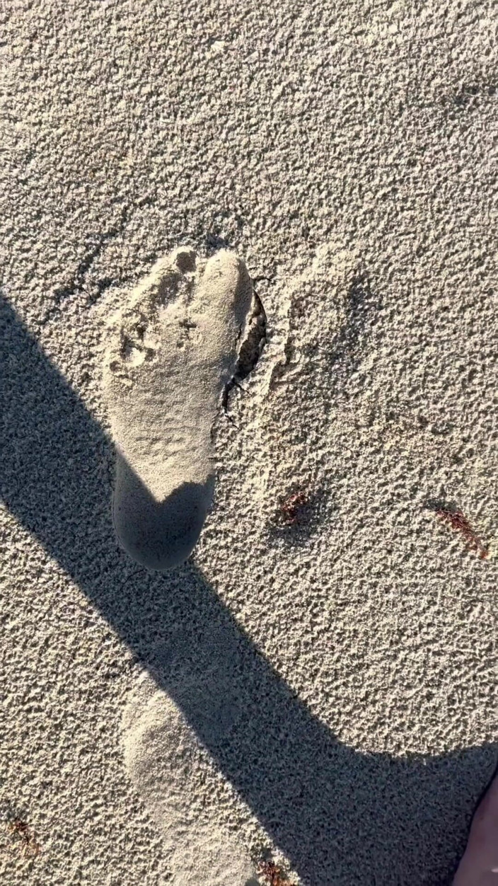 Peppermint Giantess: Porównanie rozmiaru 16 stóp z wydrukami piaskowymi na plaży