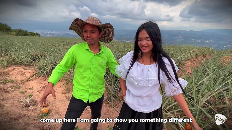 Pelaje mix: Seorang Wanita Petani Mahu Menuai Nanas Dan Sebaliknya Dia Menanam...