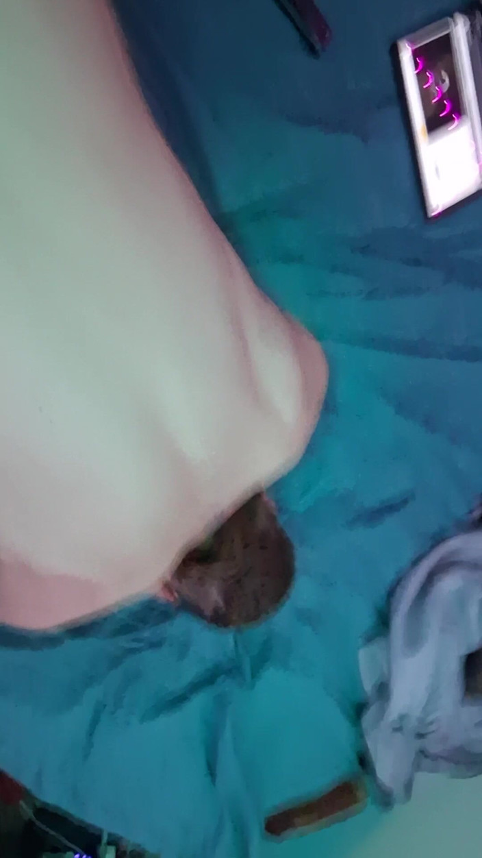 Swfltwunk: Fucking