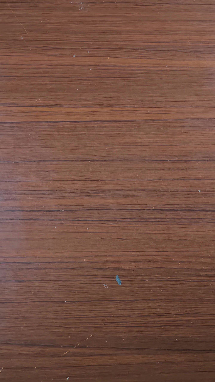 LolaCD: Sc036 - 2 cámaras