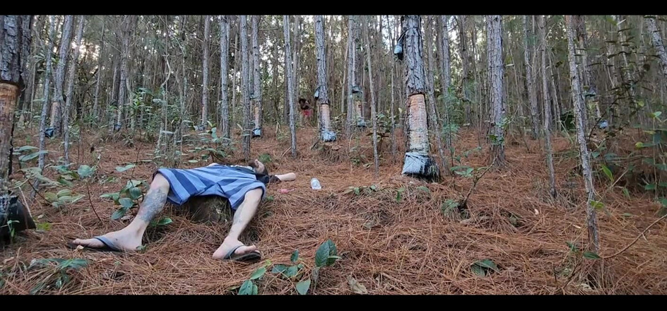 Bruxo fire: Adakah Ia Mimpi? Lengkap dalam Bekas