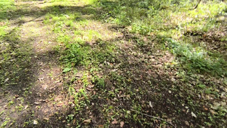 Bouncy Tits Action: Tetas golpeando en el bosque