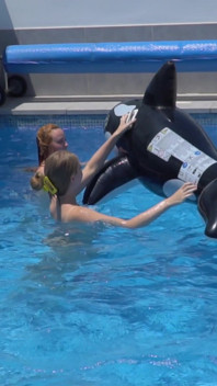 Lesbian Girls Are Having Fun in a Pool with an Inflatable Shark