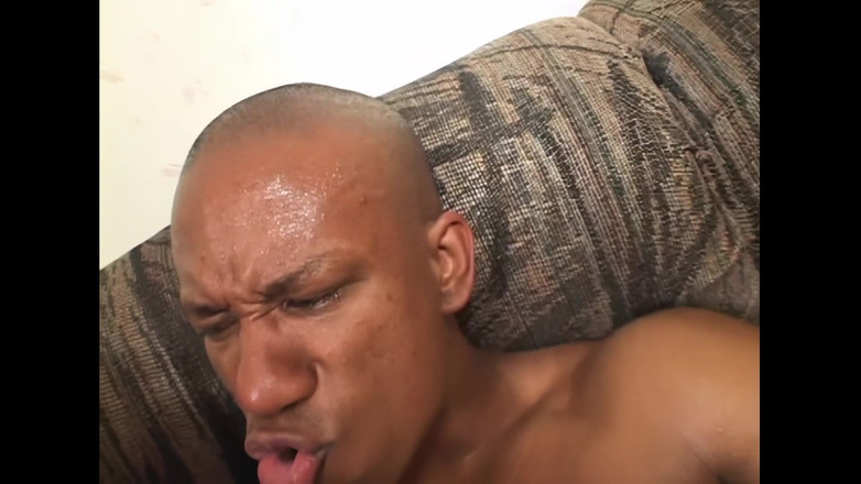 Pure redlight: ホット・ブラック・ビッチ