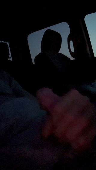 Just bear19xx: Solo orso