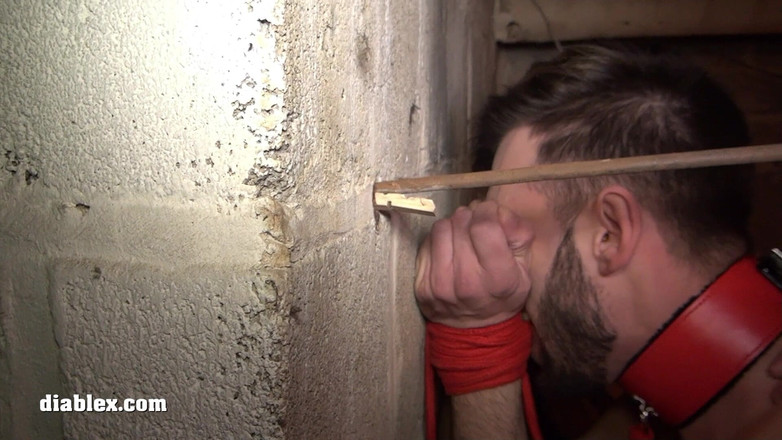 Diablex: Iniciación Y Bareback