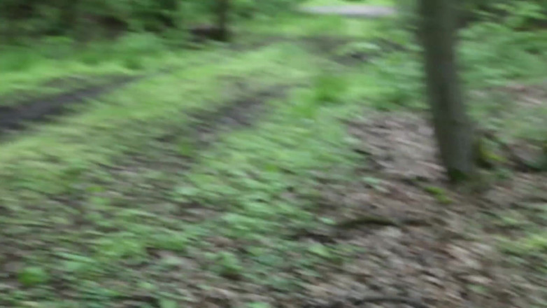 Bouncy Tits Action: Whipping pussy in place
