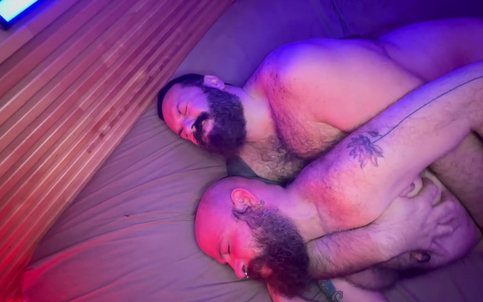 BTrucker77: Björnar i lila barbacka trekant