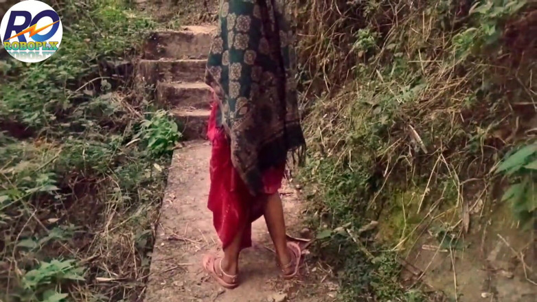 ROBOPL Xhamster: I Went for a Walk in the Jungle of the...