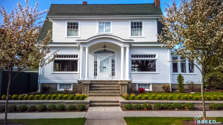 MomWantsToBreed: Des fleurs pour ma belle-mère - s2 : e10