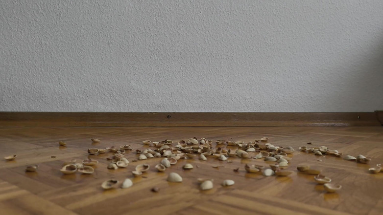 Your QueenXoXo: 130kg Woman Walking on Pistachio Shells - Crunching Sounds