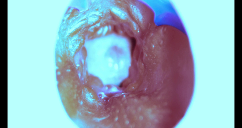 SEXY_GUYBEST: Cum mă fut din interior! Cameră înăuntru!