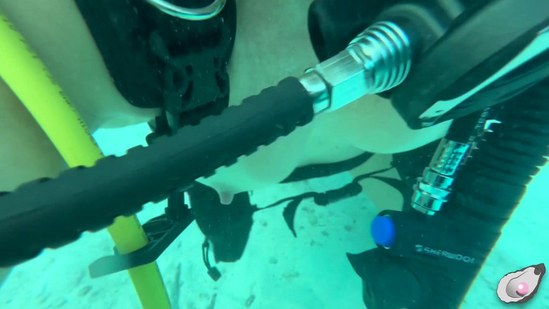 Mistress Pink Pearl: Супергерл встречает самого возбужденного осьминога в Bonaire