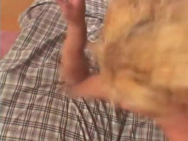 Fuck me Hard: Ateşli sarışını kanepede sikiyor