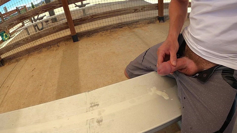 Lapetus: 다른 사정을 위해 공원으로 돌아가기