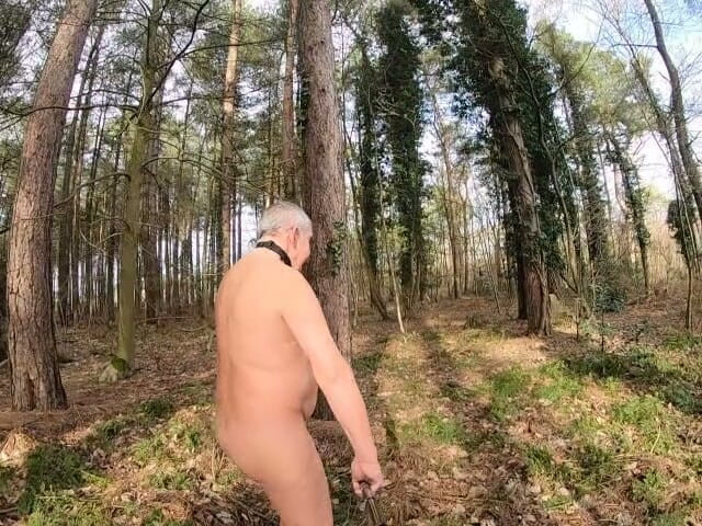 Andy: Sexo caminar alrededor del bosque 3