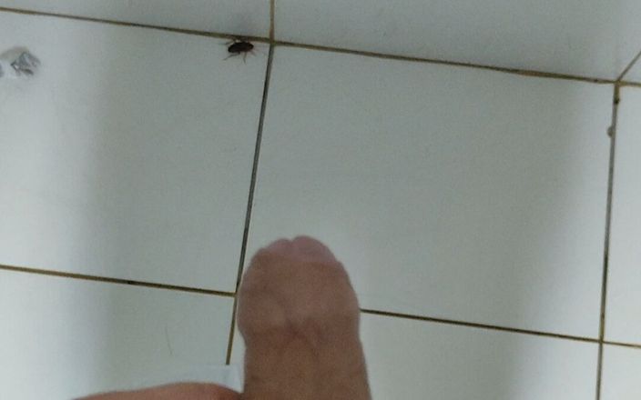 Straight Daddy Club: Szybka masturbacja w łazience z karaluchami