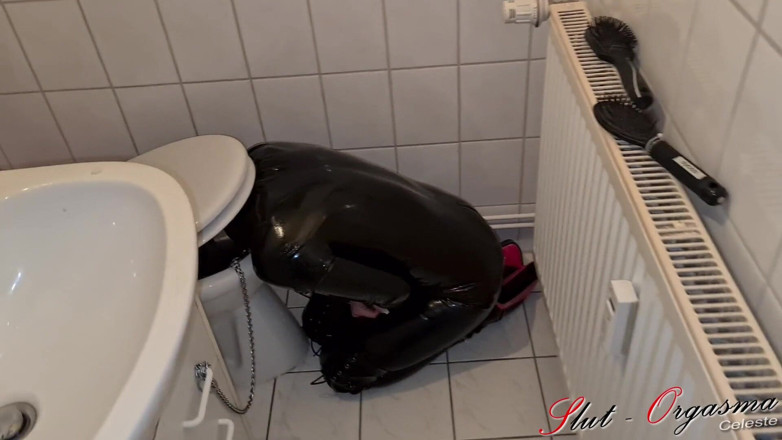 Slut Orgasma Celeste: Slave Slut - Orgasma Celeste in Latex Piss Drinking and Toilet...