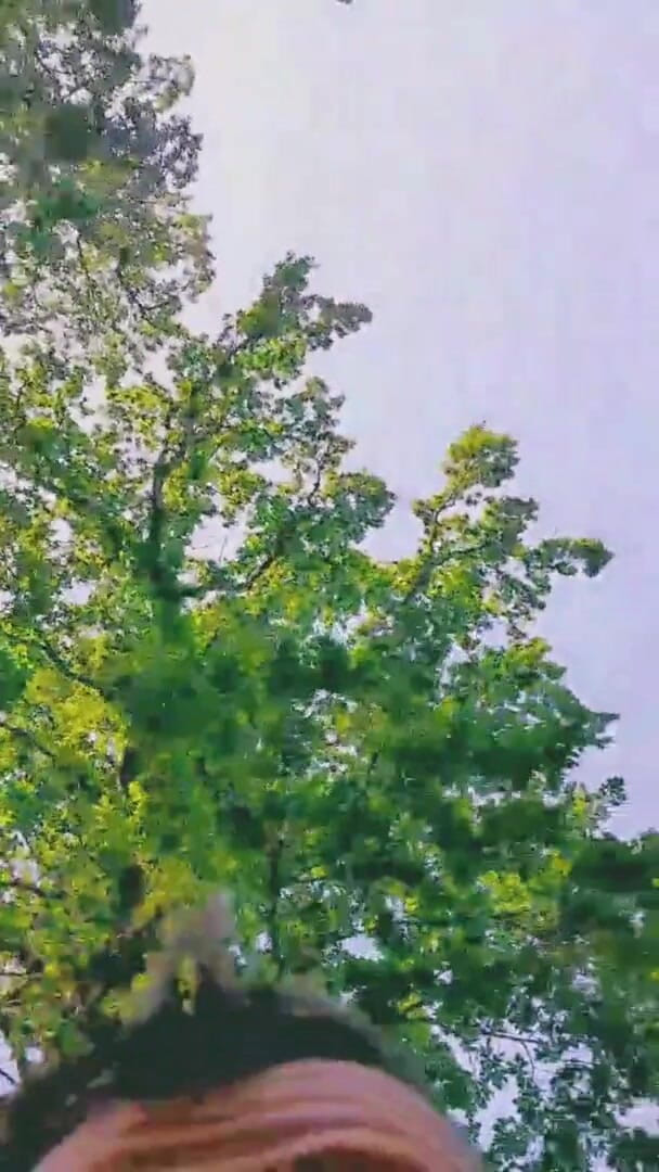 Slutboyben: Slutboyben Cam4 Ahli pameran bintang lucah seksi