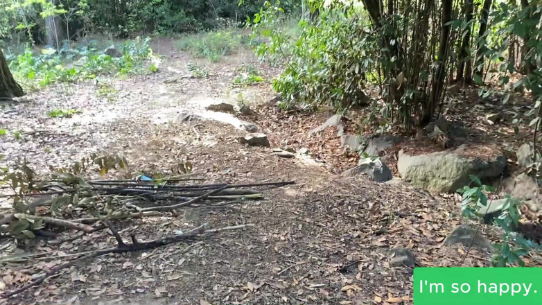 Juan Lucho: Argentinian Blonde Sucks Cock in the Forest