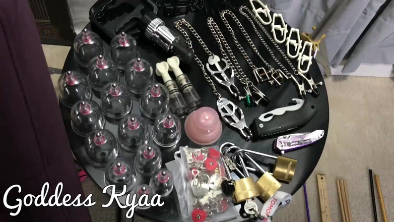 Kyaa Chimera: Mengambil Stok