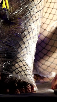 Bandaged Legs: Plastic Wrap Tease & Foot Fetish