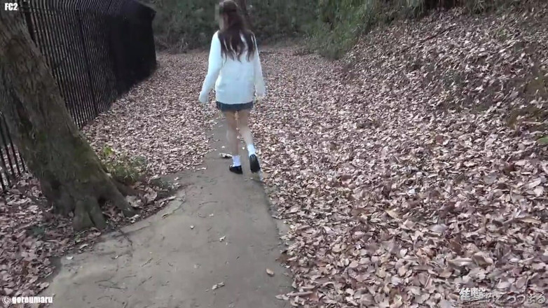 Sky Angel: Asian Angel 19132