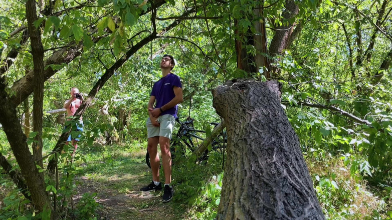 Nick Lewis: Schwanzlutschen im Wald