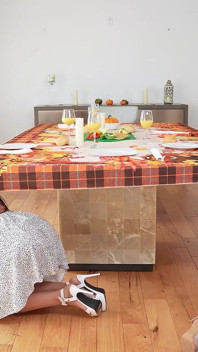 Tu ne seras plus ingrat si ton dîner de Thanksgiving est la chatte de ta belle-mère