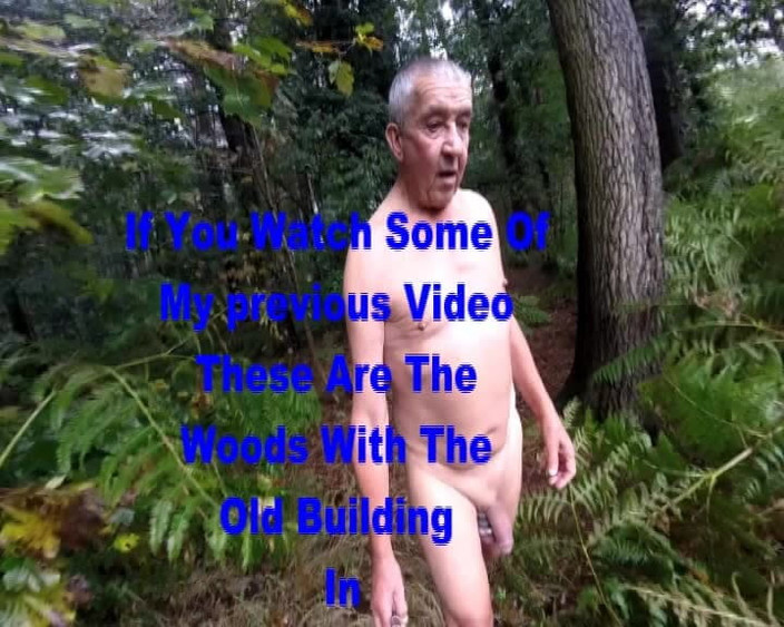 Andy: Rainy &amp; Wet在树林里