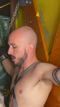 Young Ec Super Sexy