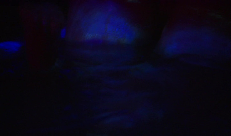 CBD Media: Hot aliens with big tits having wild lesbian sex