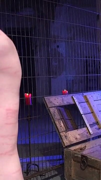 Inspiră Fundul ăla cu dominare feminină