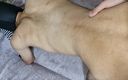 ArchiRusik: Knappe puppy twink in fonteinen van sperma van stiefbroer van...