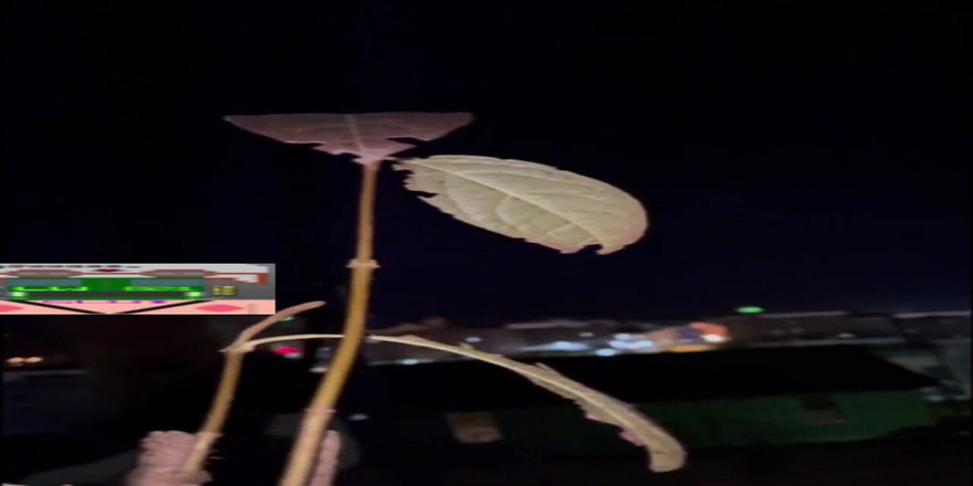 lonewanderer821: Ризиковані розваги навколо мого міста!