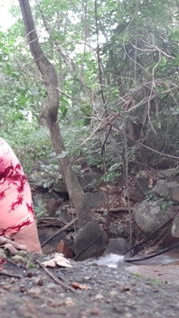 Private Na Floresta 1