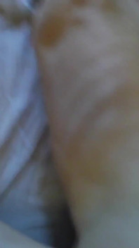 Fuck and Cumshot, Creampie Compilation. Part 2