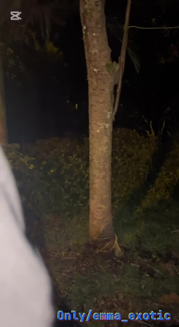 ema_abby: Sąsiad na ulicy