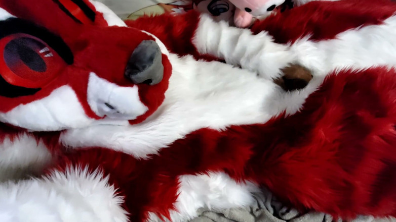 PawgrammerSocks: Zich aftrekken en voetenpaws laten zien in een full-body fursuit