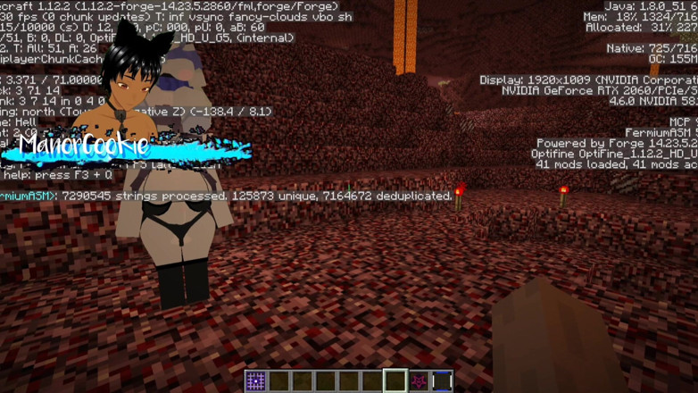 Manor Cookie: Minecraft Jenny Mod šukání Galath succubus a anální šukání