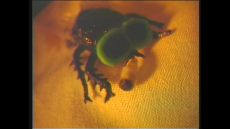 MCG Empire: Çılgın kızlar sert sikiş çılgınlığında kontrolünü kaybediyor