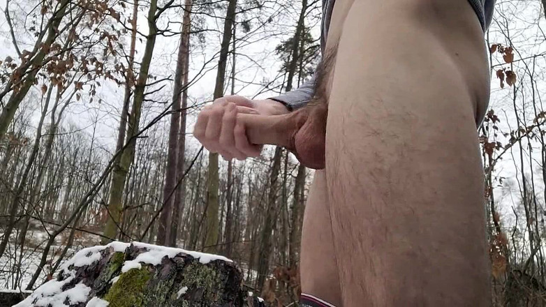 qaz11: labă pe cameră-214