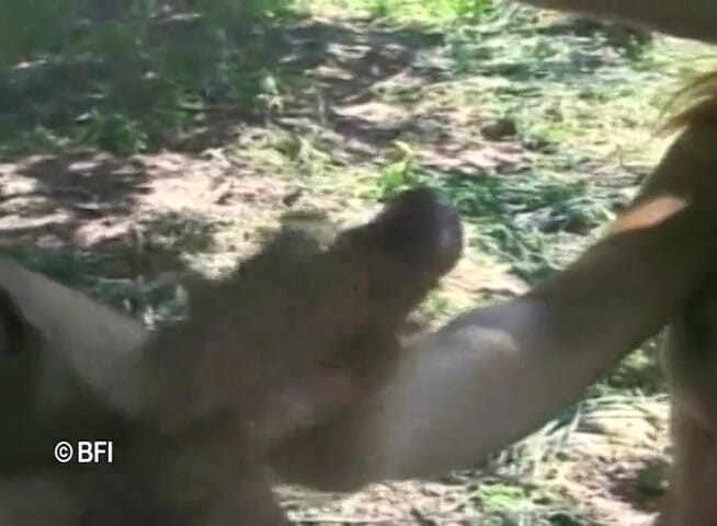 Ladyboy Paradise: Brasil trans tutkusu 9
