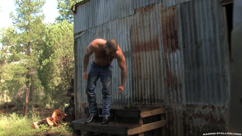 Raging Stallion: To the last man: the gathering storm