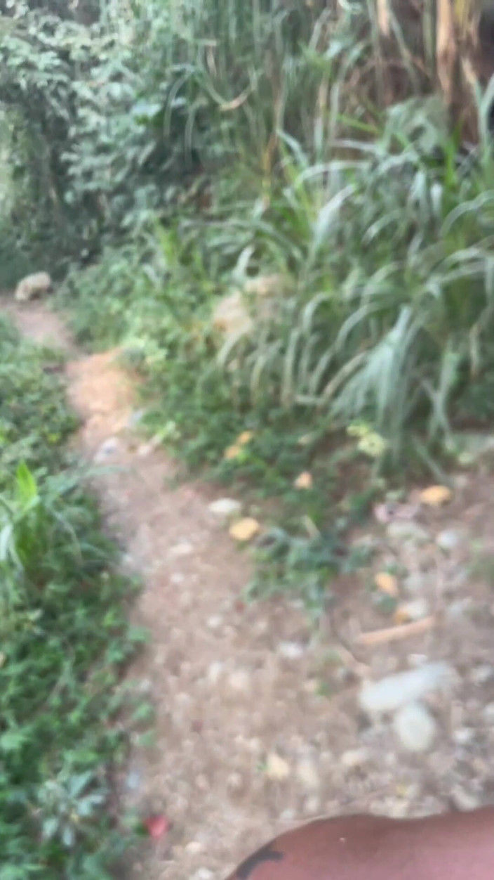 XanderBlackx: Bruneta Fierbinte Îmi Suge Penisul Gros Și Mare Cu Multă Intensitate Afară,...