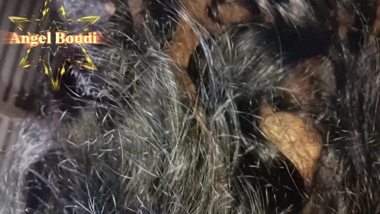 Roshalo Boudi: 벵골 천사 부디와 그녀의 의붓오빠의 불륜