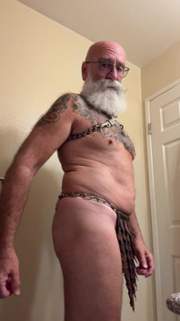 Custom Harness