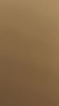 Local Ohio Whore Comes Over to Get Face Fucked and Then She Creams on Bwc