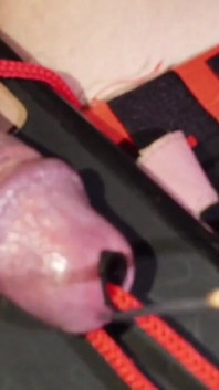 Rough Stick Urethra Insert