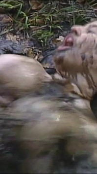 Busty Horny MILF Have Sex in the Muddy Forest